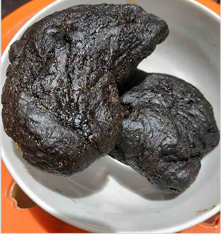 野生黄精