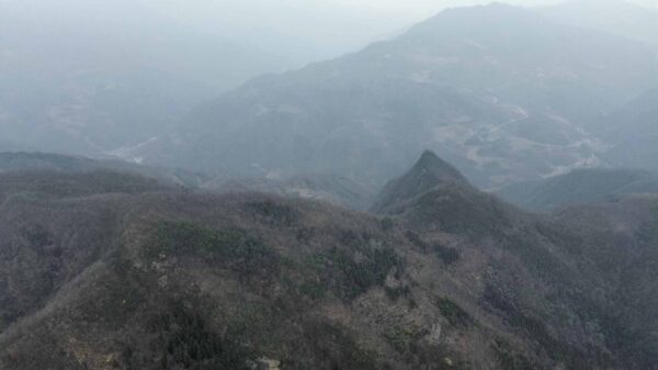 生长药材的大山