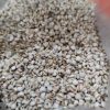 薏米仁500克 中药材薏米 新货薏米仁 coix seed 薏仁米  coix  薏 薏仁 薏米的功效与作用 - 图片 4