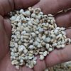 薏米仁500克 中药材薏米 新货薏米仁 coix seed 薏仁米  coix  薏 薏仁 薏米的功效与作用 - 图片 3