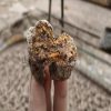 野生生地黄500克 中药材生地黄 无硫生地黄 - 图片 4