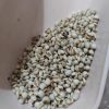 薏米仁500克 中药材薏米 新货薏米仁 coix seed 薏仁米  coix  薏 薏仁 薏米的功效与作用