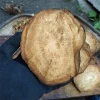 野生柴葛根丁500克かっこんとう葛根图片puerarin 葛根湯 飲み方 葛藤