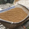 野生菟丝子500克 中药材菟丝子 盐菟丝子 菟丝子图片 cuscuta 菟丝花