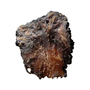 肉苁蓉  cistanche 肉苁蓉片500克 软质肉苁蓉 油肉苁蓉