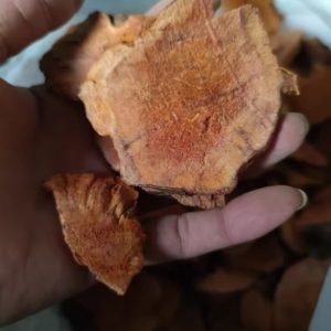 野生土茯苓500克 红片土茯苓 无硫中药材土茯苓片