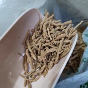 远志中药材 无硫远志500克 去芯远志 粗条