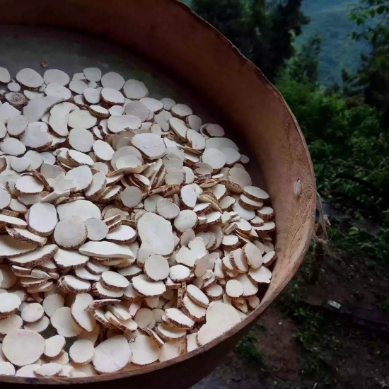 野生白芷500克 中药材白芷 大料卤料白芷片 无硫白芷 | 山子堂