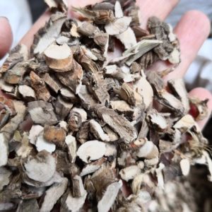 野生石菖蒲 正宗石菖蒲500克 中药材石菖蒲 九节菖蒲、水剑草、山菖蒲