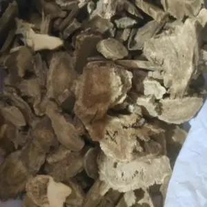 木香500克  老木香香料 香囊用木香 中药材木香