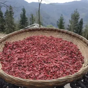 主图：野生山茱萸500克 中药材山茱萸 制山茱萸 无核山茱萸 | 山子堂