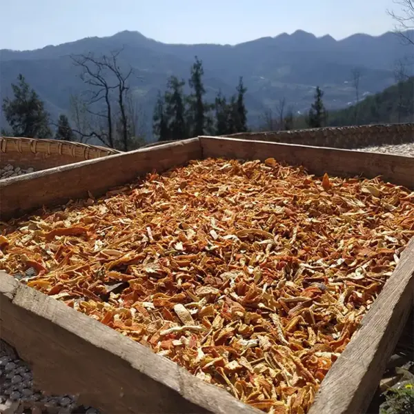 陈皮干500克 中药材陈皮 当年黄陈皮 - 图片 2