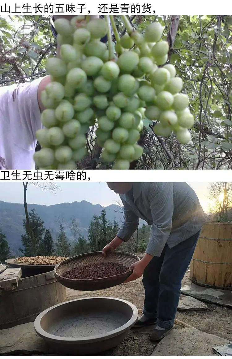 五味子干500克 中药材五味子 | 山子堂