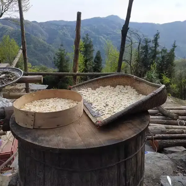 西洋参片500克 中药材西洋参 高品质大片西洋参片 - 图片 2