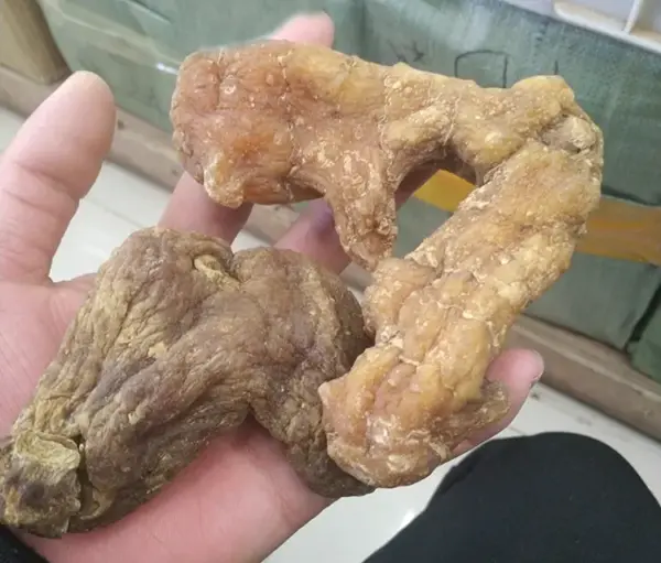 野生生黄精 干黄精个子500克 生黄精片 黄精毛料 黄精干的 - 图片 2