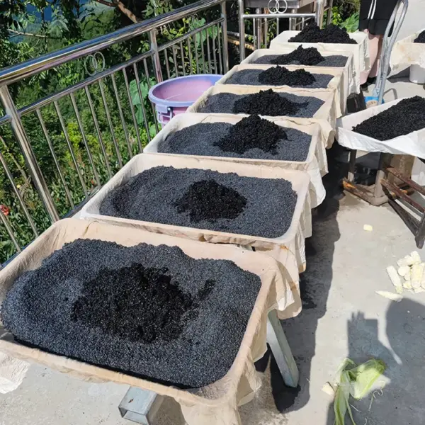 高山黑芝麻500克  农村土芝麻黑芝麻 无沙淘洗中药材黑芝麻 药食两用 - 图片 3