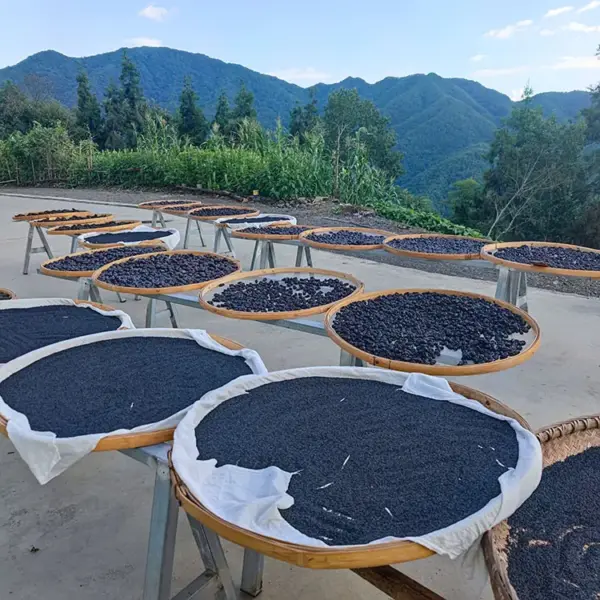 高山黑芝麻500克  农村土芝麻黑芝麻 无沙淘洗中药材黑芝麻 药食两用